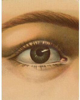 John Derian Picture Book