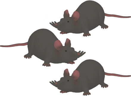 Johntoy 3x stuks John Toy - Speelgoed Halloween decoratie kunststof rat zwart 28 cm