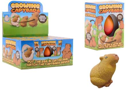 Johntoy Groeiende Capybara ei in doos bruin