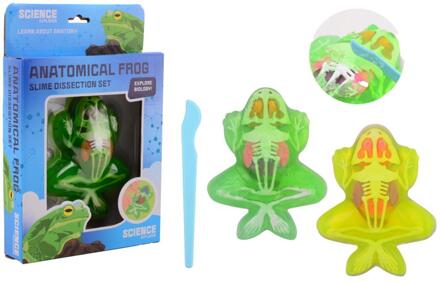 Johntoy Science kikker anatomie slijm verschillende