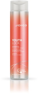 Joico Shampoo Joico Youthlock Shampoo 300 ml