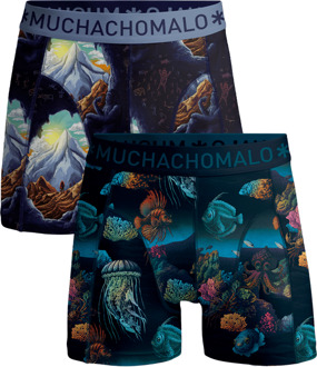 Jongens 2-pack Boxershorts Deep Sea Mountaintops