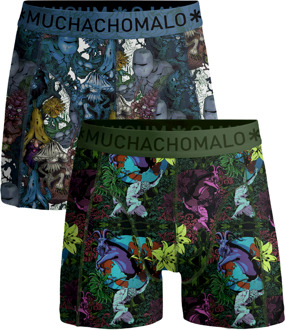 Jongens 2-pack Boxershorts Earth Elements