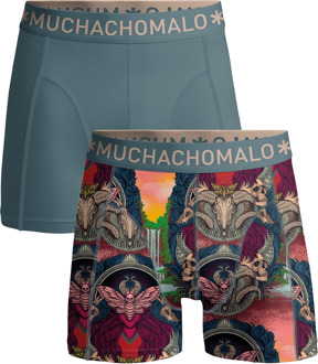 Jongens 2-pack Boxershorts