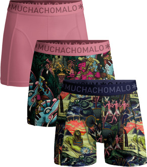 Jongens 3-pack Boxershorts Ancient Civilizations