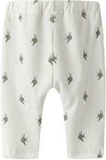 jongens broek Kit - 56