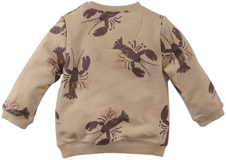 jongens sweater Beige - 62