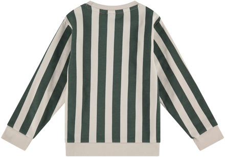 jongens sweater Bottle - 98