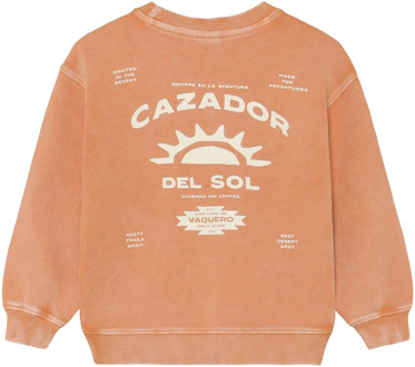 jongens sweater Bruin - 92