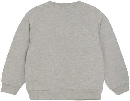 jongens sweater Grijs - 104