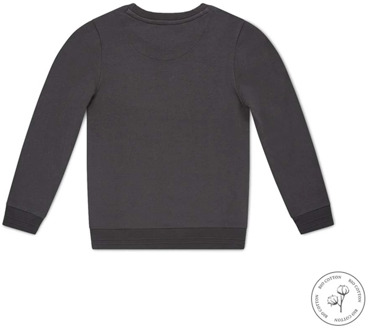 jongens sweater Grijs - 62-68