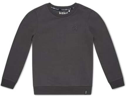 jongens sweater Grijs - 62-68