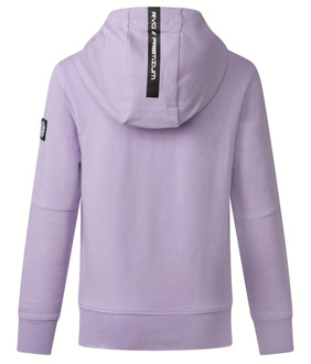 jongens sweater Lila - 140-146