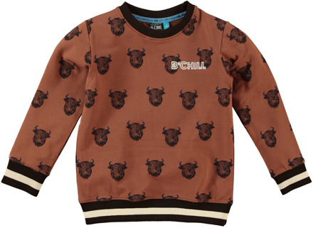 Jongens sweater malu Bruin - 128/134