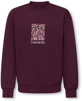 jongens sweater Paars - 158-164