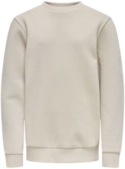 jongens sweater Zand - 146-152