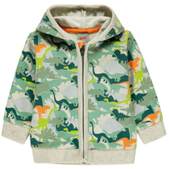 Jongens sweatshirt met capuchon, /multi allover color ed Kleurrijk - 62