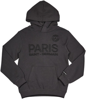 Jordan PSG Hoodies Kinder - Grijs - Maat 158 - 170 CM - Katoen Fleece Grey