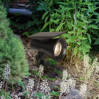 Jostiras LED zonneschijnwerper met grondspies zwart