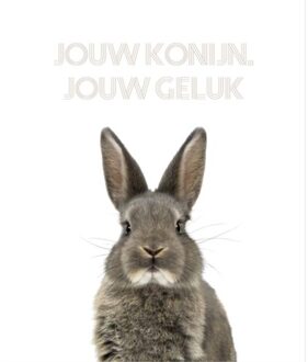 Jouw Konijn, Jouw Geluk - Jouw Konijn - (ISBN:9789083031507)