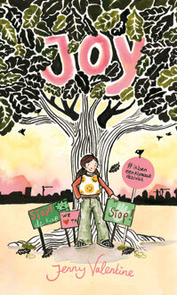 Joy -  Jenny Valentine (ISBN: 9789021040141)