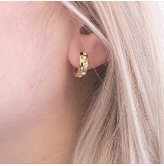 Joy oorbellen - Oostenrijks kristal - maat Wit & Goud