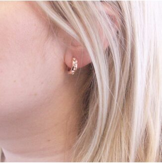 Joy oorbellen - Oostenrijks kristal Wit en roségoud - One Size