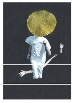 Jpt A Plane Over Woods - The Vernon Spring