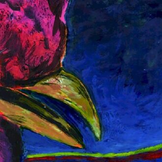 Jpt Plasma Door - Merzbow