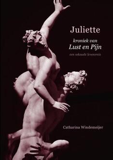 Juliette, Kroniek Van Lust En Pijn - Catharina Windemeijer