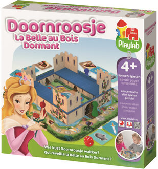 Jumbo Doornroosje - Sleeping Beauty Game
