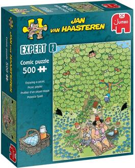 Jumbo Jan van Haasteren Expert picnic plezier - 500 stukjes