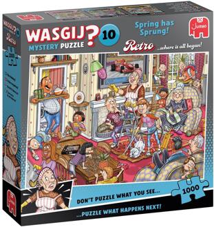 Jumbo Wasgij Retro De Voorjaars-schoonmaak