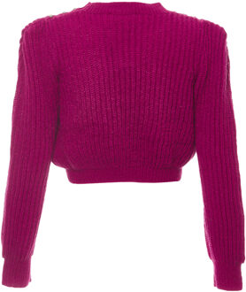 Jumper Dames paars Lila