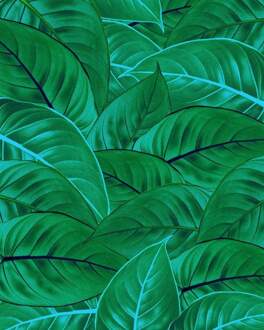 Jungle Leaves Vlies Fotobehang 200x250cm 2-banen Multikleur