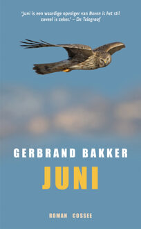 Juni - Boek Gerbrand Bakker (905936337X)
