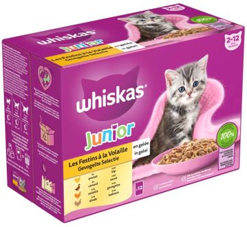 Junior Gevogelte Selectie in gelei maaltijdzakjes multipack 12x85g dierensnack