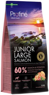 Junior Large Salmon & Potatoes - Hondenvoer - Zalm - 12 kg