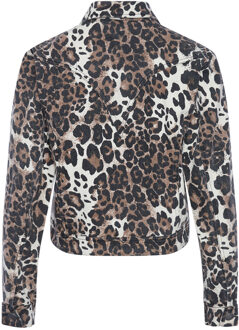 Jupiter-jas in bruin - XL