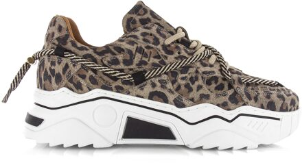 Jupiter Leopard J5554C-77-8201 Beige-41 maat 41