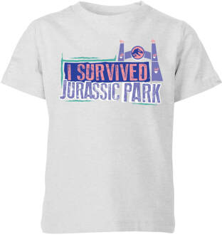 Jurassic Park I Survived Jurassic Park Kids' T-Shirt - Grey - 122/128 (7-8 jaar) - Grijs - M