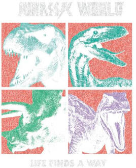 Jurassic Park World Four Colour Faces Women's T-Shirt - White - L Wit
