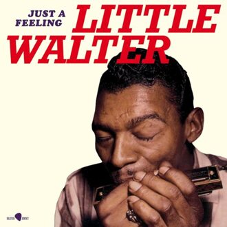 Just A Feeling - Little Walter