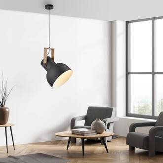JUST LIGHT. Cup 2.0 hanglamp, Ø30cm, 1-lamp, zwart zwart, licht hout