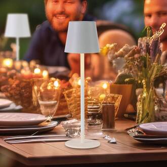 JUST LIGHT. Euria LED tafellamp, grijs-beige ijzer IP54