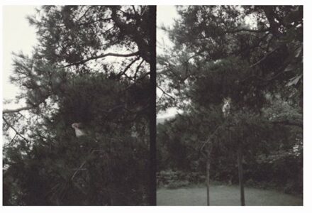 Just Like Any Other Day - Okkyung Lee