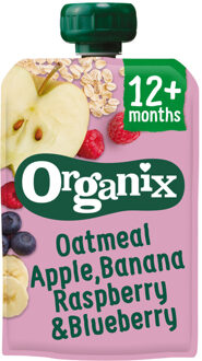 Just Oatmeal Apple Banana Raspberry Blueberry 12+ Bio (100g)