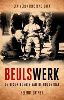 Just Publishers Beulswerk - Boek Helmut Ortner (9089755209)