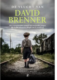 Just Publishers De Vlucht Van David Brenner - Nicolette Knobbe