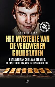 Just Publishers Het mysterie van de verdwenen goudstaven - Enno de Witt - ebook